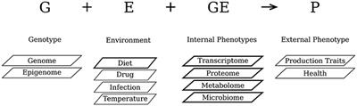 Multi-Level Integration of Environmentally Perturbed Internal Phenotypes Reveals Key Points of Connectivity between Them